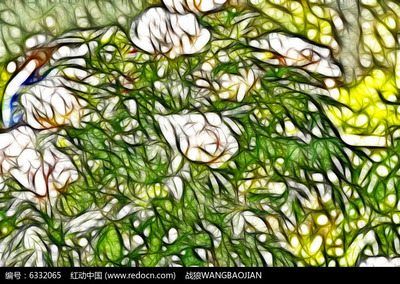 花影與鋼骨 當(dāng)白色牡丹藝術(shù)畫(huà)邂逅健身器材