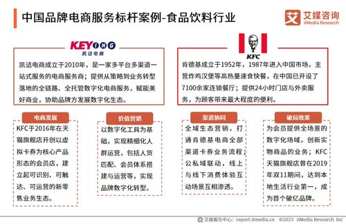 2023年中國品牌電商服務行業(yè)深度解析 艾媒咨詢研究報告揭示市場趨勢與機遇